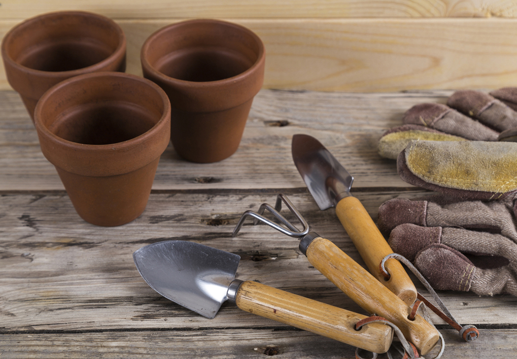 5 Ways to Boost Your Gardening Skills - The People's Friend