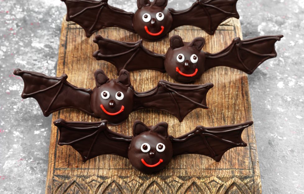 Bats-978x624.jpg