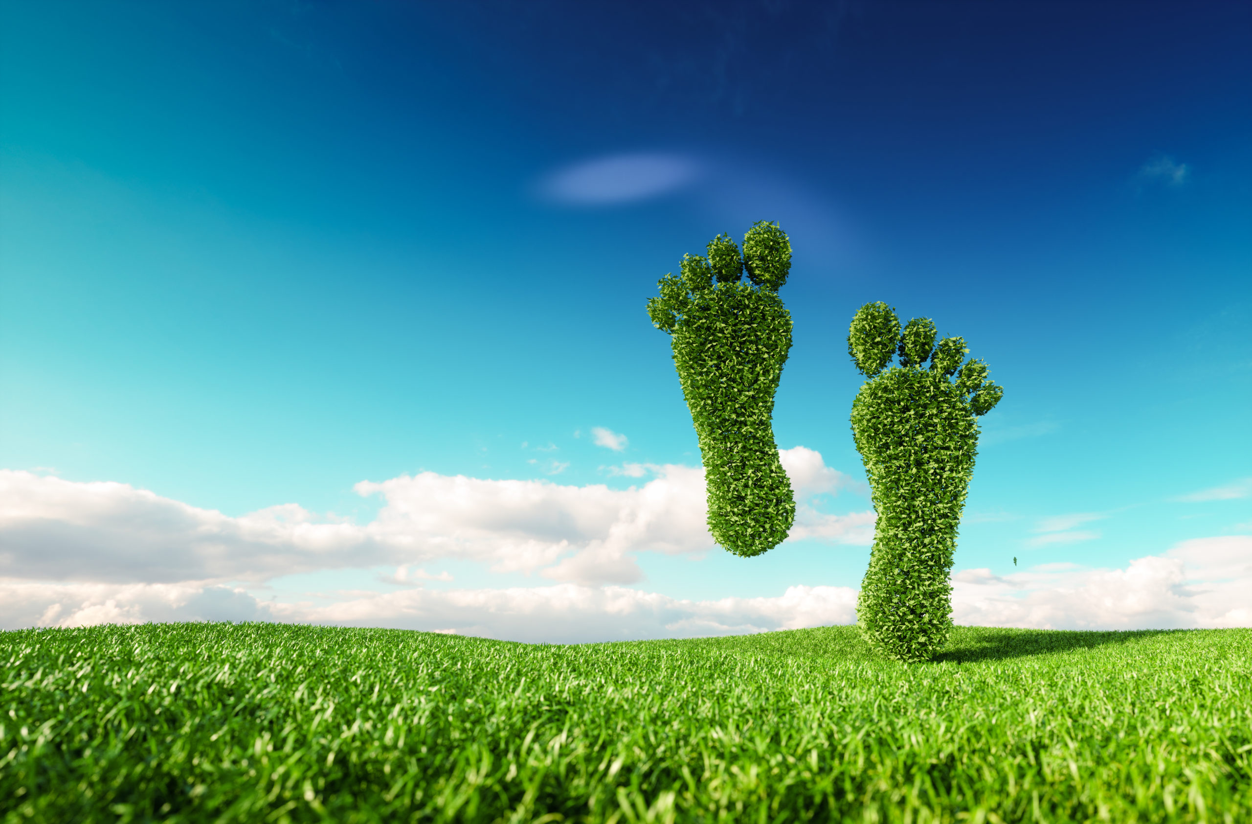 Simple Ways To Reduce Your Carbon Footprint The People s Friend