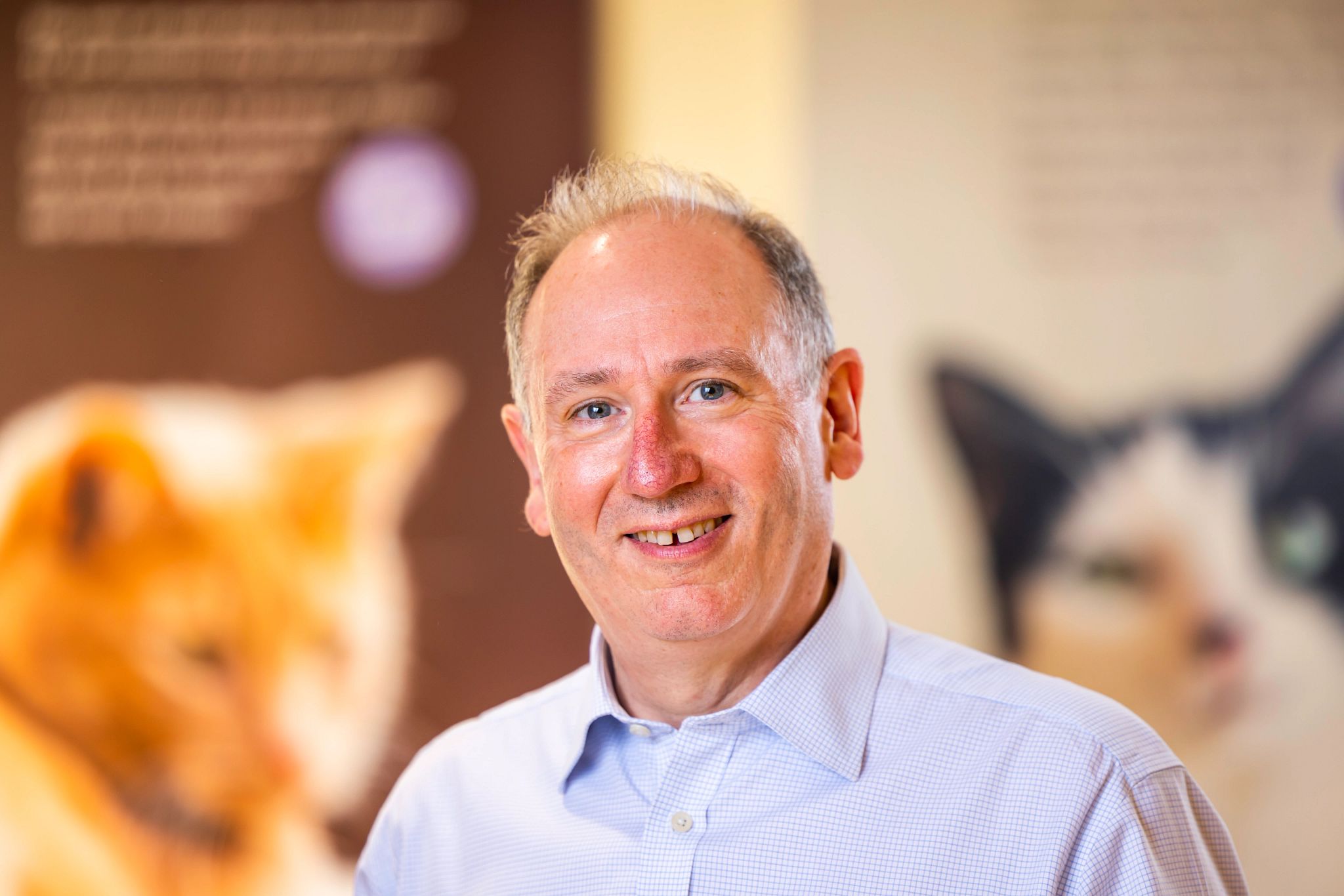 SPONSORED: Meet the Chief Executive of Cats Protection